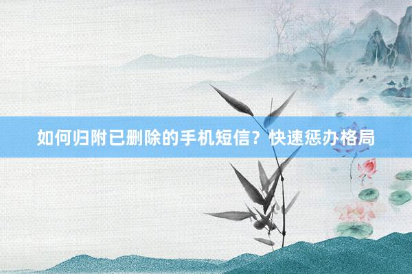如何归附已删除的手机短信？快速惩办格局
