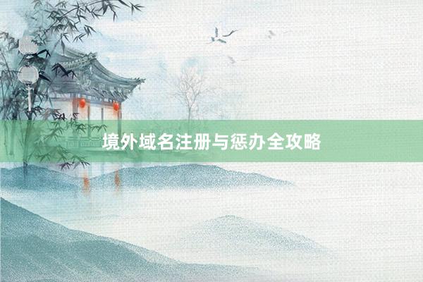 境外域名注册与惩办全攻略