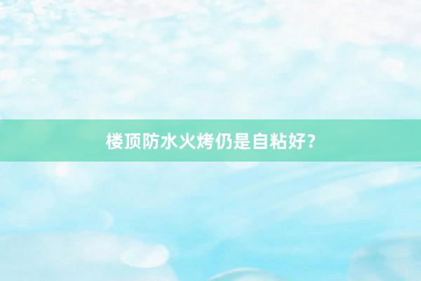 楼顶防水火烤仍是自粘好？