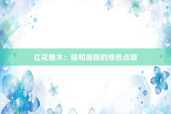 红花继木：暄和庭院的绿色点缀